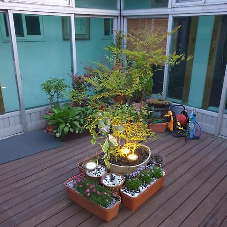 Dal Garam Guesthouse Gangneung Exteriör bild