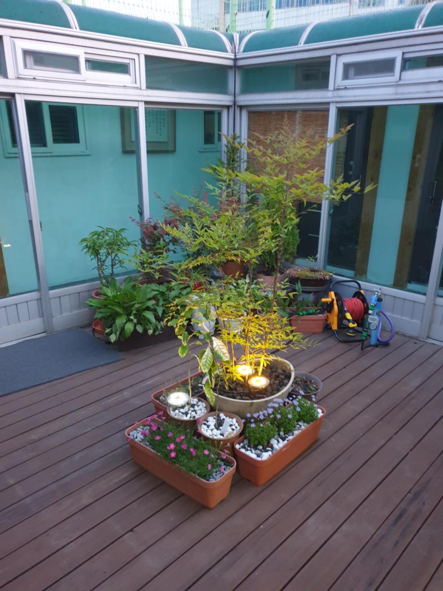 Dal Garam Guesthouse Gangneung Exteriör bild