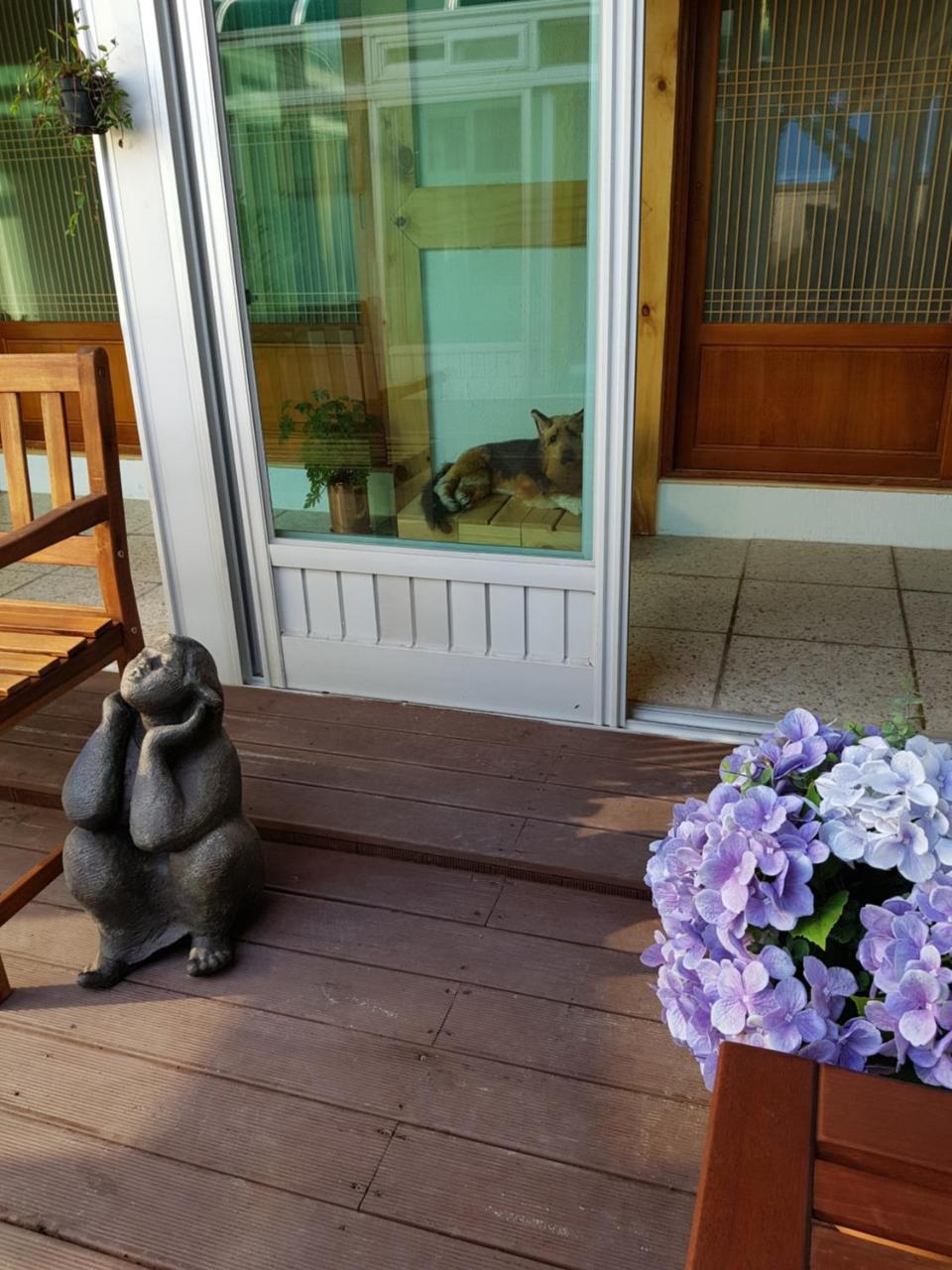 Dal Garam Guesthouse Gangneung Exteriör bild
